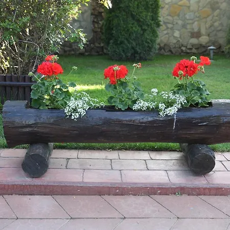 Rixo's Guest house Circea