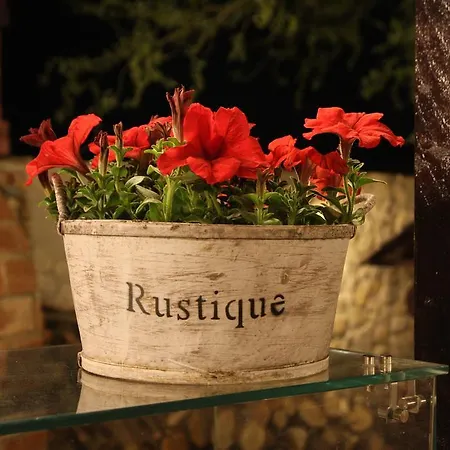 Rixo's Guest house Circea
